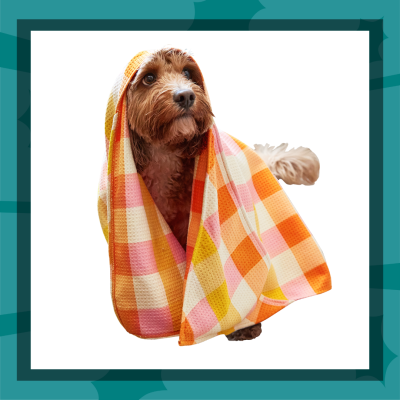Dog in Dock & Bay towel