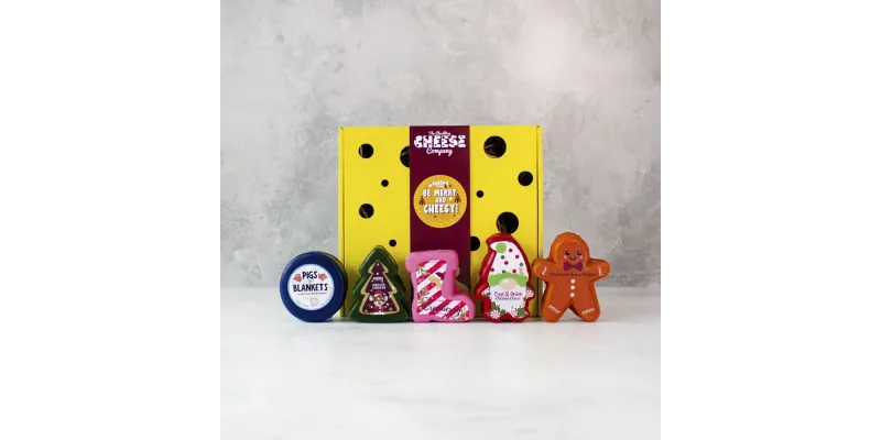 Selection of cheeses in festive box